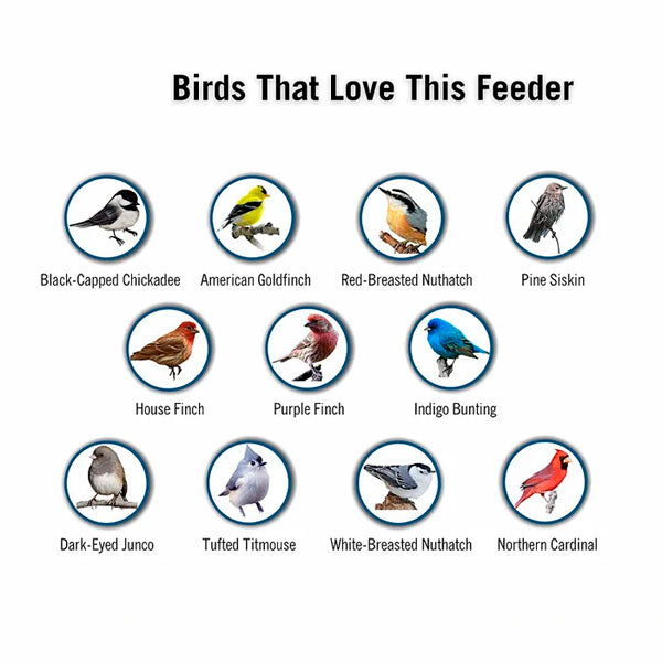 💥New Spring 2023💥100% Squirrel-Proof Bird Feeder-49% OFF