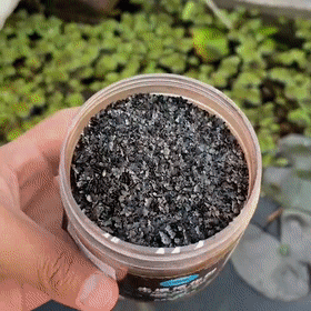 MagicFlow™ Soil Revitalization Treasures -- Create the Perfect Garden