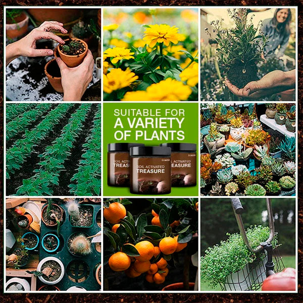 MagicFlow™ Soil Revitalization Treasures -- Create the Perfect Garden