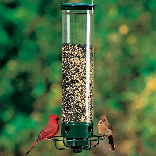 💥New Spring 2023💥100% Squirrel-Proof Bird Feeder-49% OFF