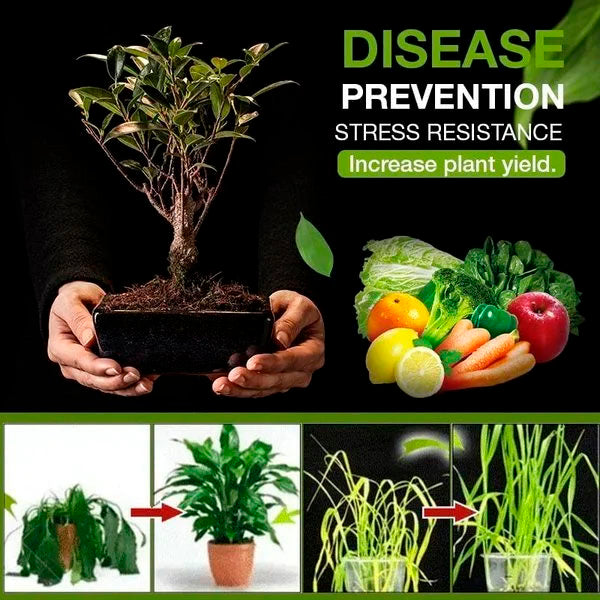 MagicFlow™ Soil Revitalization Treasures -- Create the Perfect Garden