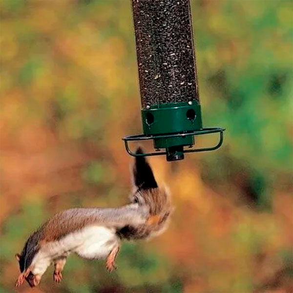 💥New Spring 2023💥100% Squirrel-Proof Bird Feeder-49% OFF