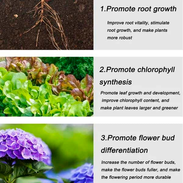 Home Gardening Universal Slow-Release Tablet Organic Fertilizer（22 PCS）