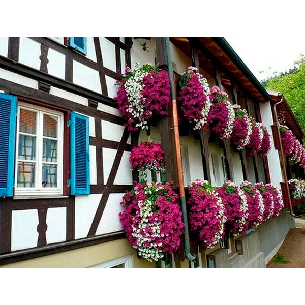 Floower™ Vivid Artificial Hanging Orchid Bunch