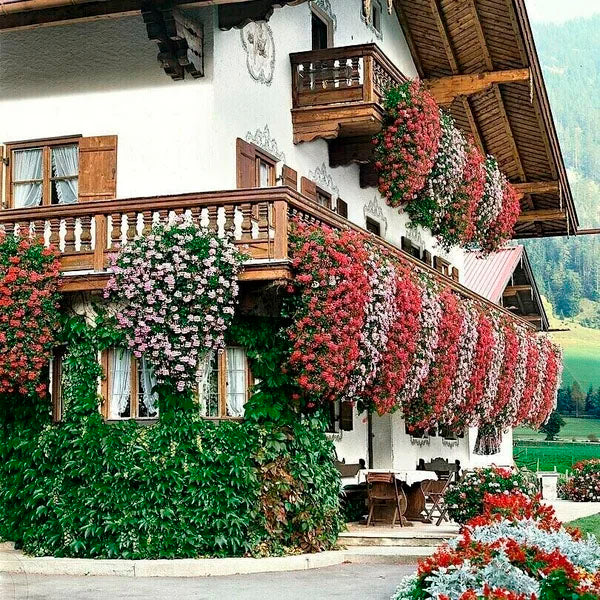 Floower™ Vivid Artificial Hanging Orchid Bunch