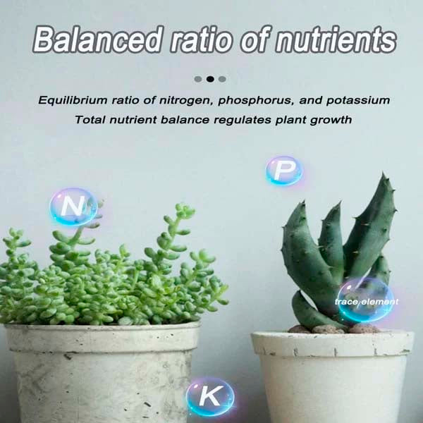 Home Gardening Universal Slow-Release Tablet Organic Fertilizer（22 PCS）