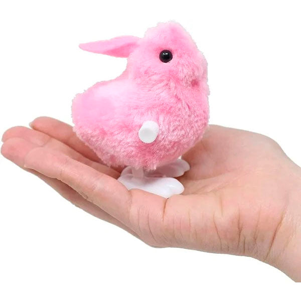 MagicEgg™ 12Pcs Wind Up Toy Prefilled Easter Eggs